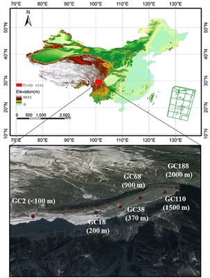 Ecological Succession Pattern of Fungal Community in Soil along a Retreating Glacier